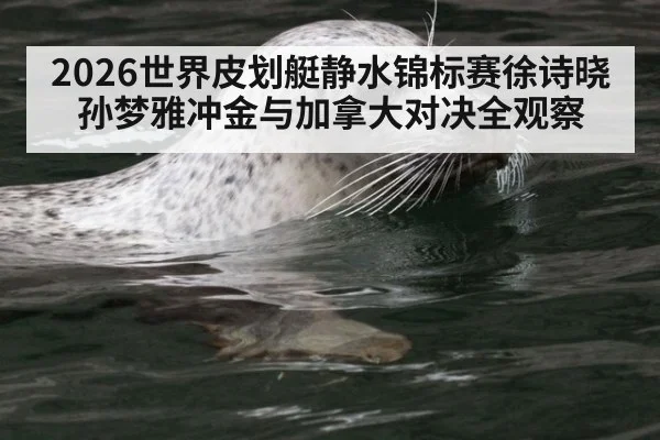 2026世界皮划艇静水锦标赛徐诗晓孙梦雅冲金与加拿大对决全观察